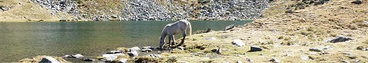 Estany de l'Estany&eacute; - Sispony (Ordino - Andorra)